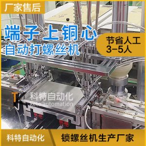 接線端子上銅心自動打螺絲設備 螺釘自動擰緊視頻